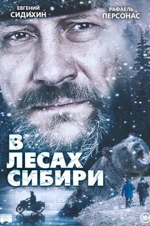  В лесах Сибири 